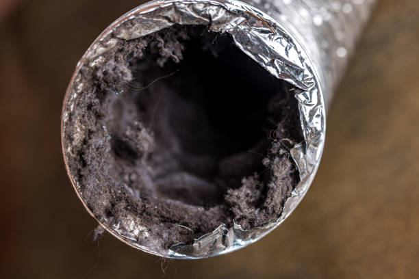 Best Air Duct Cleaning Company Near Me  in Winthrop, IA