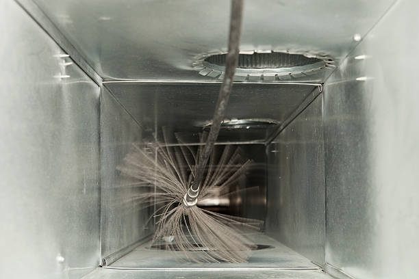 Best Air Duct Mold Removal  in Winthrop, IA