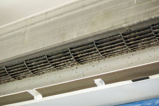 Best Affordable Duct Cleaning Services  in Winthrop, IA